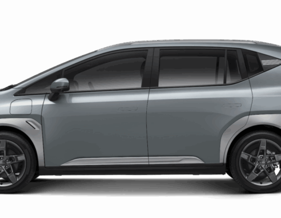Elegant Grey