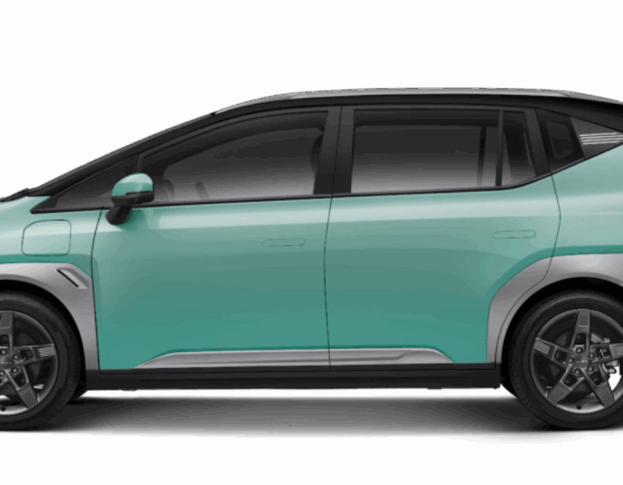 Vitality Green with Black Roof